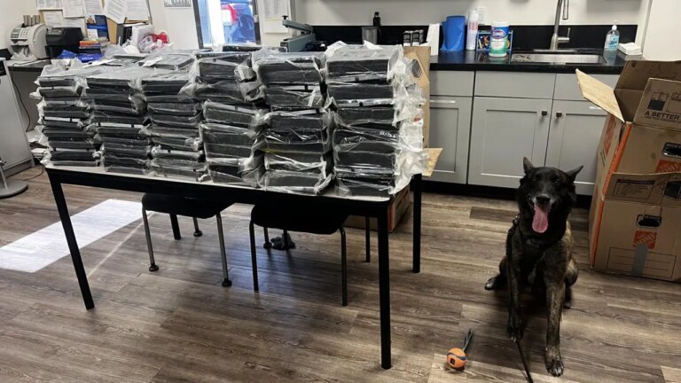 K-9 Otis Helps Police Seize 440 Pounds of Cocaine in Alhambra