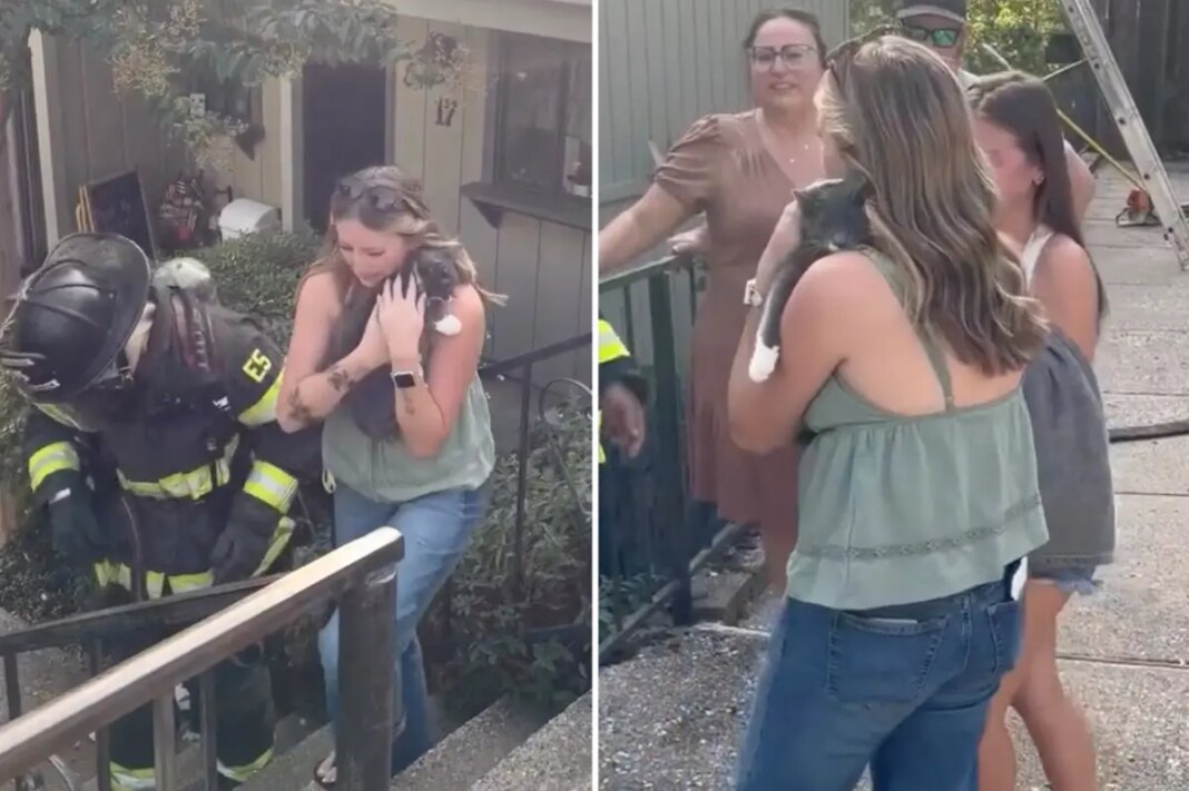 California firefighters rescue cat from blaze and reunite it with tearful family