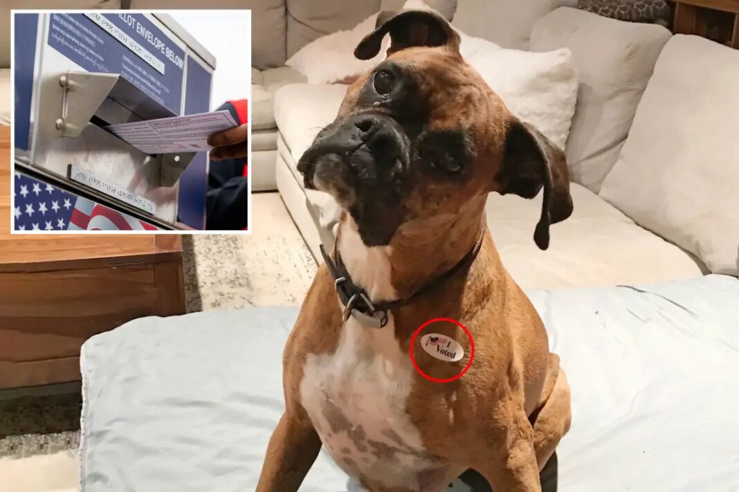 California woman pays for billboards after registering pet to vote