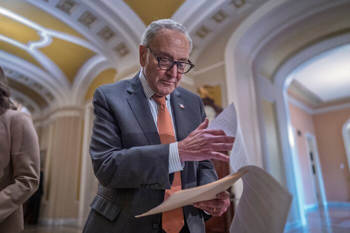 Chuck Schumer has broad support from his caucus, but midterms could decide his future as leader