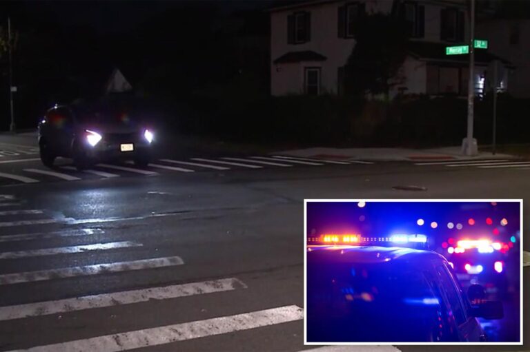 NYC Motorist With Prior DWI Kills Baby in Stroller, DA Says