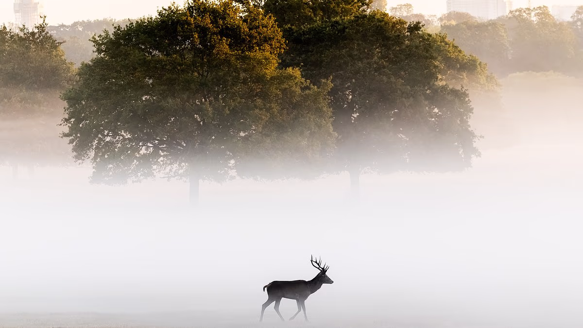 Cool! That long, hot summer gives way to autumn at last