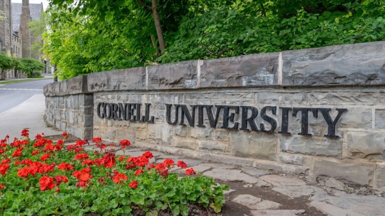 Cornell Sexual Assault Case Spotlights New York Law on Intoxicated Victims