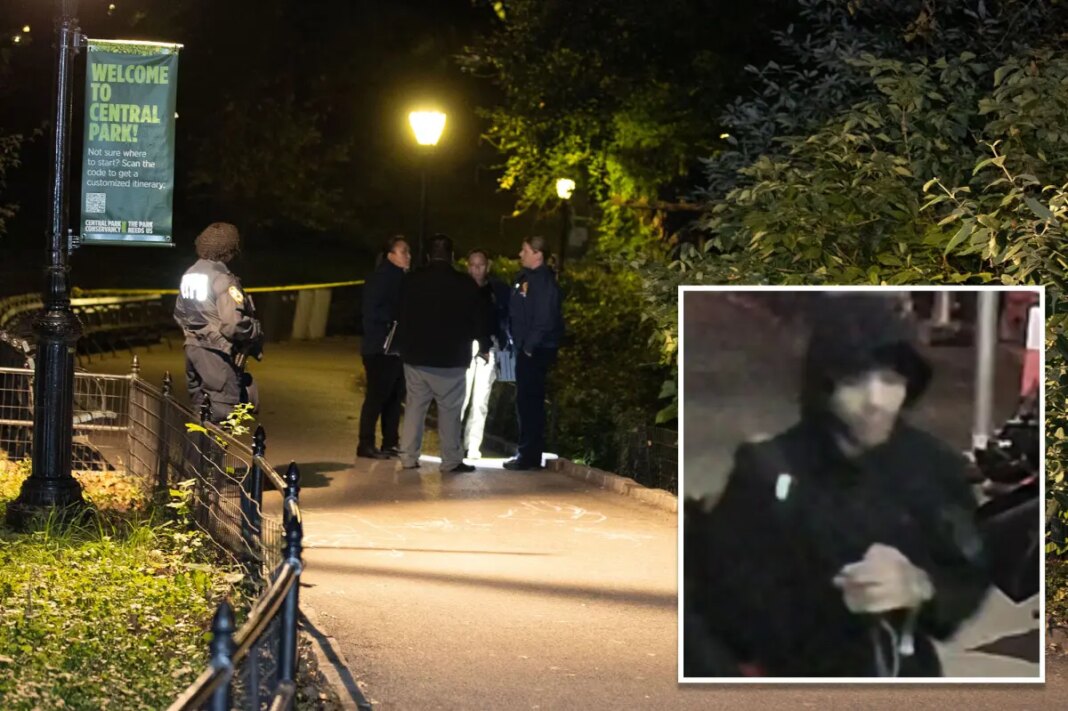 Creep wanted for raping woman at knifepoint in Central Park pictured for first time