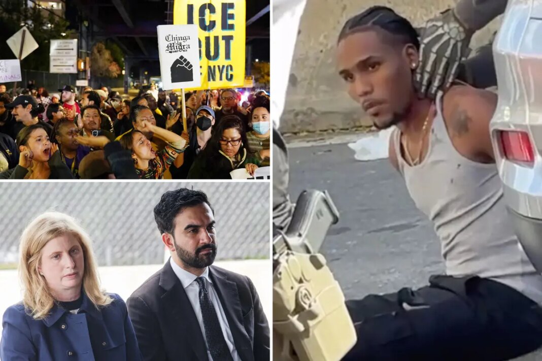 DSA 'demands' Mamdani fire NYPD boss Tisch as socialists turn on mayor over ICE shooting