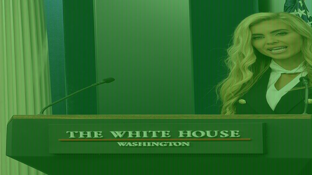 Devastating verdict on the press secretary's debut
