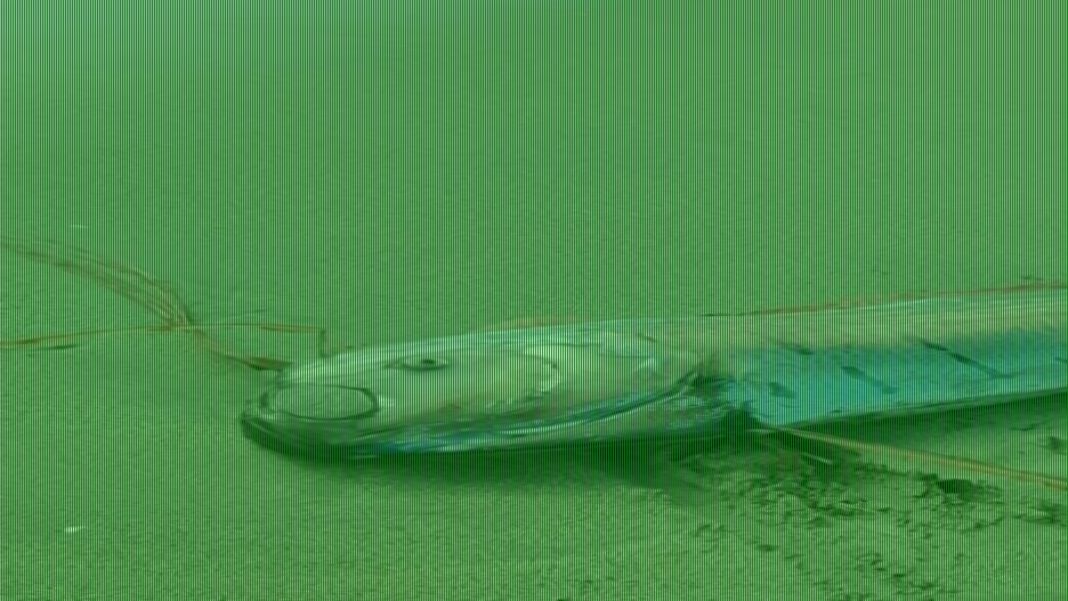 'Doomsday fish' washes ashore and sparks claims of impending disaster