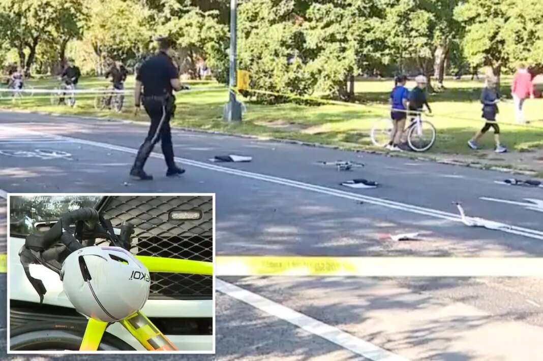 Elderly cyclist, 71, killed after hitting dog, flipping over handlebars in Central Park