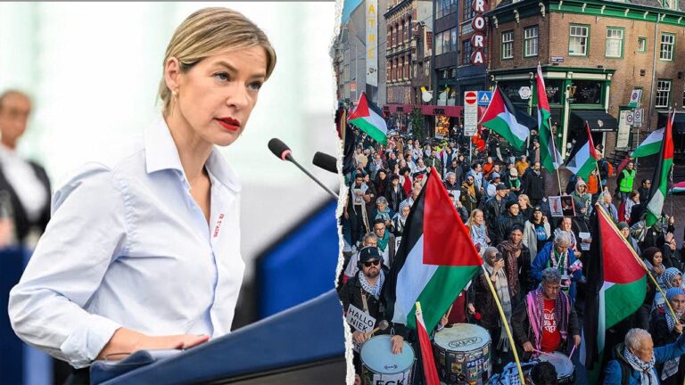 EU Parliament Backs Motion on Muslim Brotherhood, Islamist Entryism
