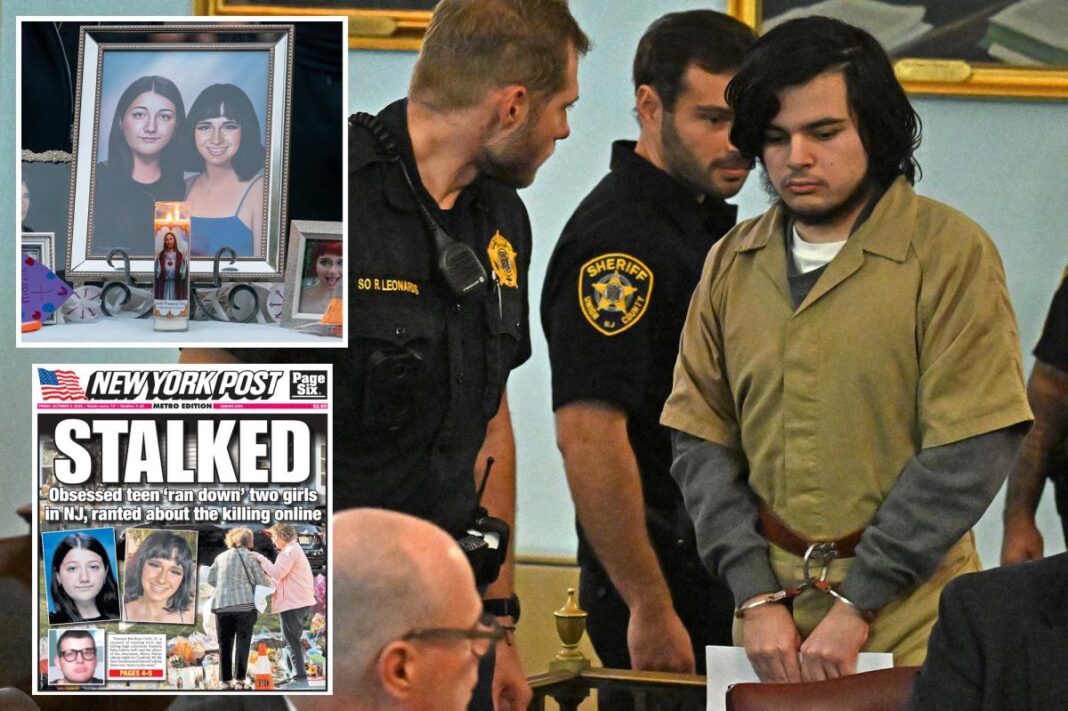 Ex-NJ cop's son could use insanity defense after murder of 2 girls in wealthy town