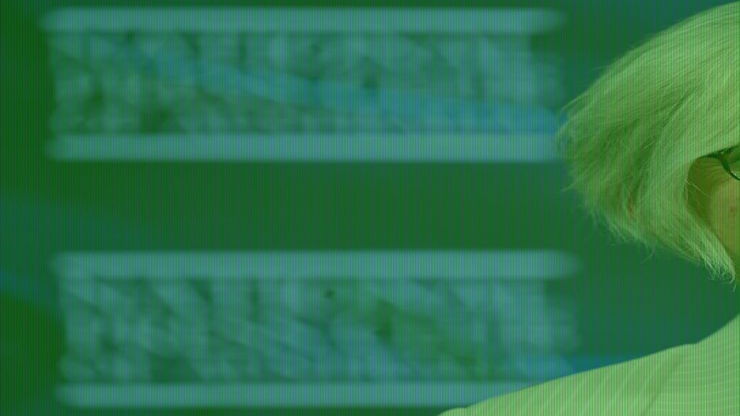 Federal MP Helen Haines rushed to hospital after being hit by a car