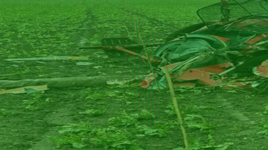 Flight instructor, 22, and pilot, 38, killed in helicopter crash