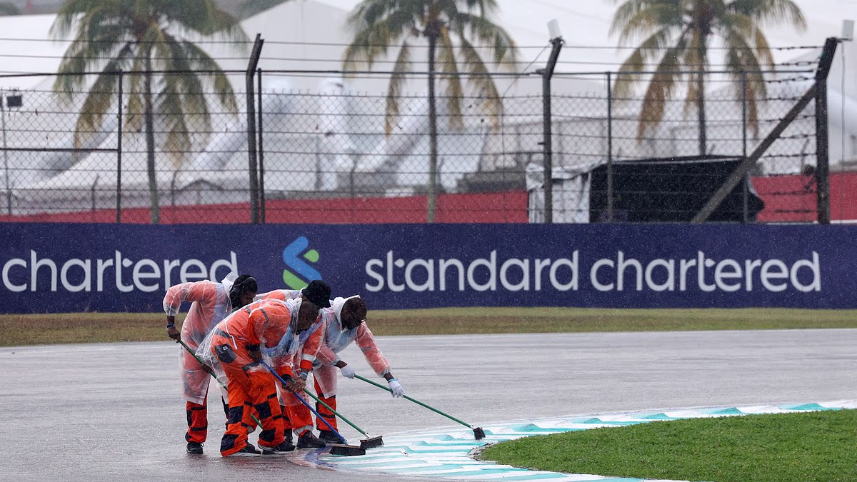 Formula One cars are not fit for purpose after Sepang embarrassment