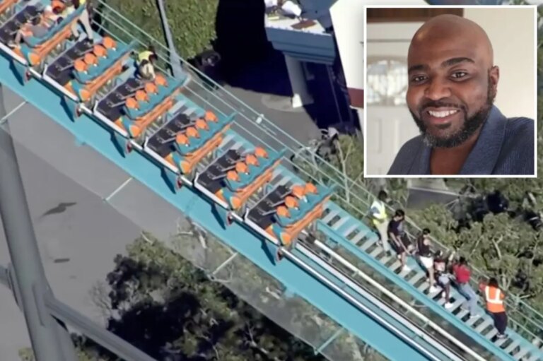 Four Children Hospitalized After Hassan Kariem Falls From Six Flags Roller Coaster and Strikes Riders, Police Say