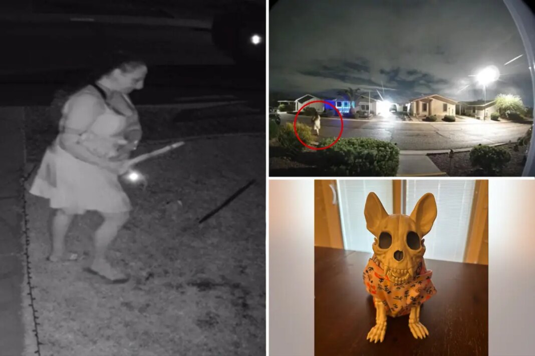 Ghoulish thief caught on camera stealing Halloween decor from family's lawn: report