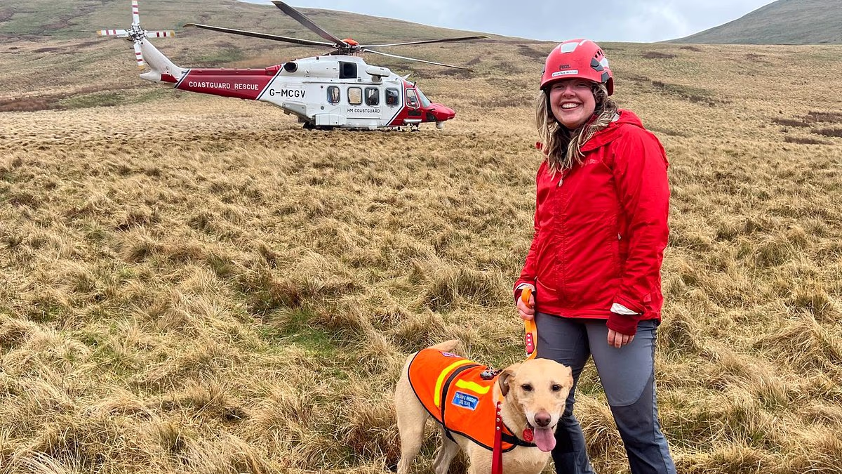 Hero dog stopped man taking his life on hillside