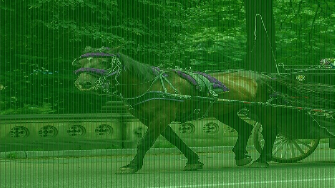 Horse-drawn carriages to leave NYC - what attractions are no more?