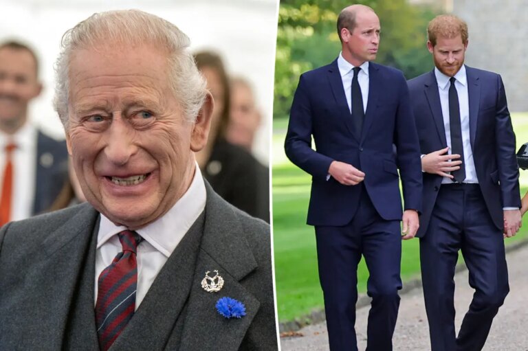 King Charles Plans to Heal Rift Between Prince William and Prince Harry, Report Says