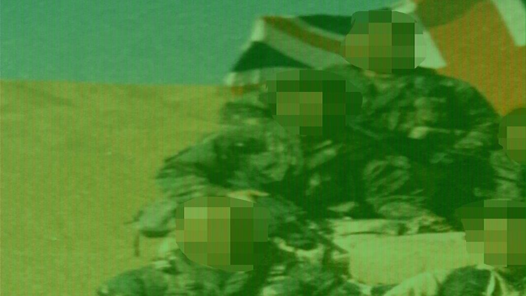 How Whitehall penpushers stabbed the SAS in the back in Afghanistan