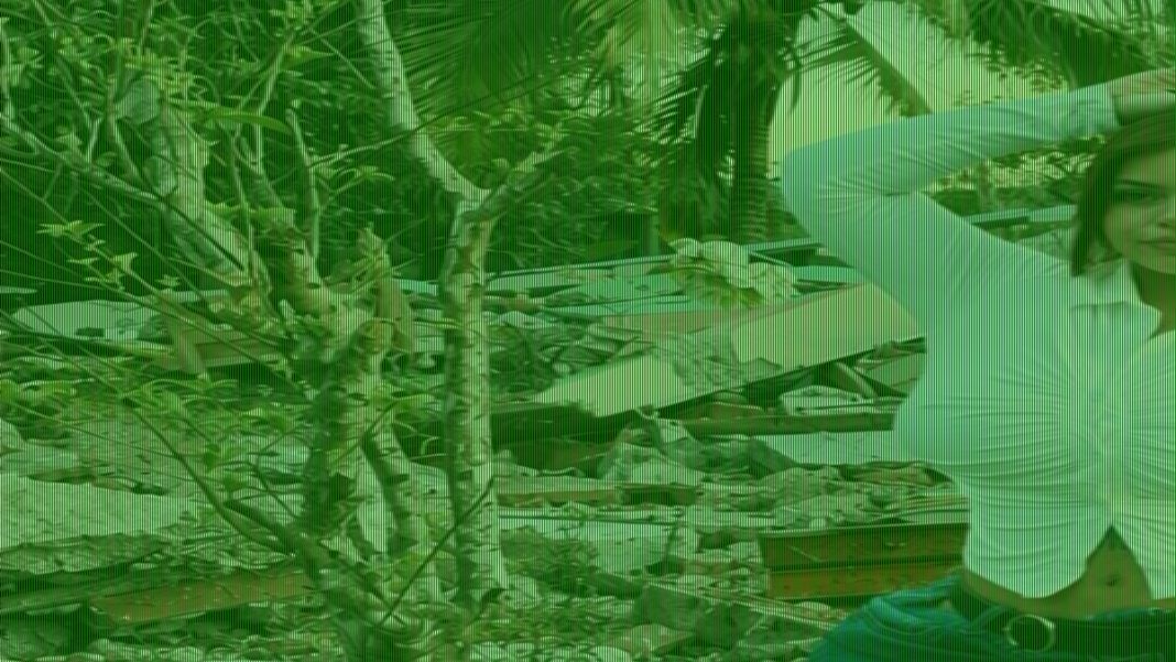Influencer slammed for posing amid Panama rubble after earthquake