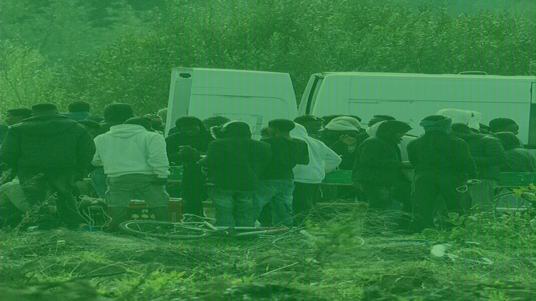 I've never seen so many migrants lining the coast: SUE REID