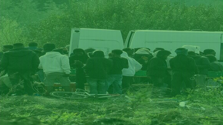 Sue Reid: ‘I’ve Never Seen So Many Migrants Lining the Coast’