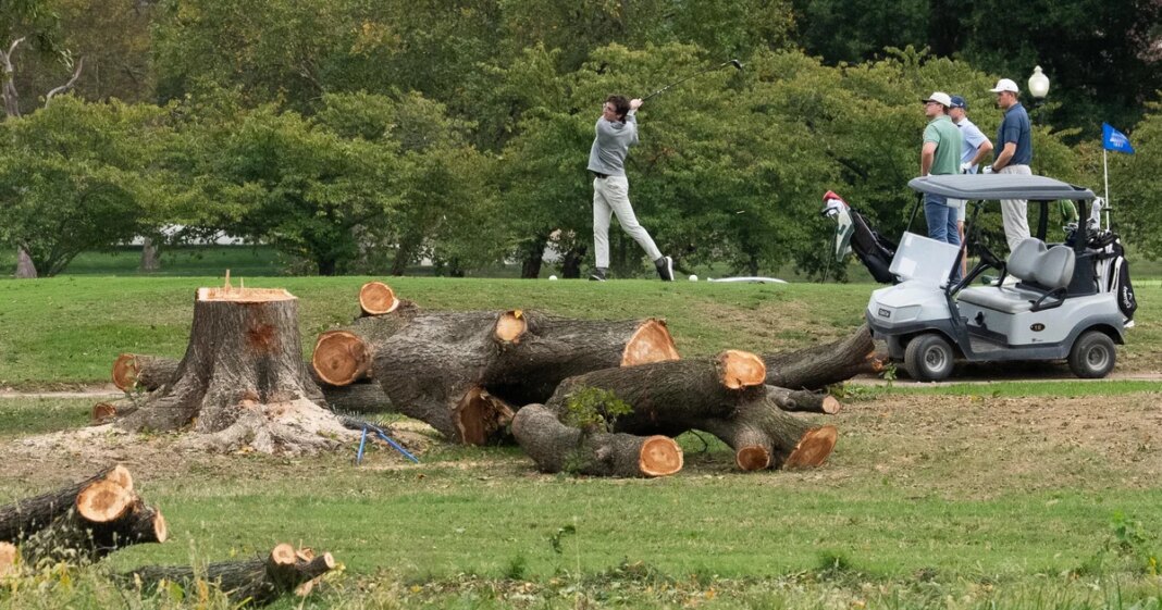 Judge chastises DOJ after 430 trees cut down at D.C. golf course