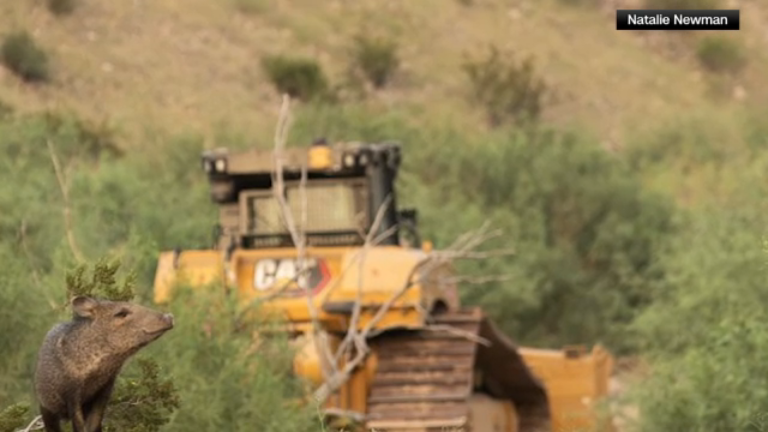 Judge Temporarily Halts Border Wall Construction in Texas’ Big Bend Region