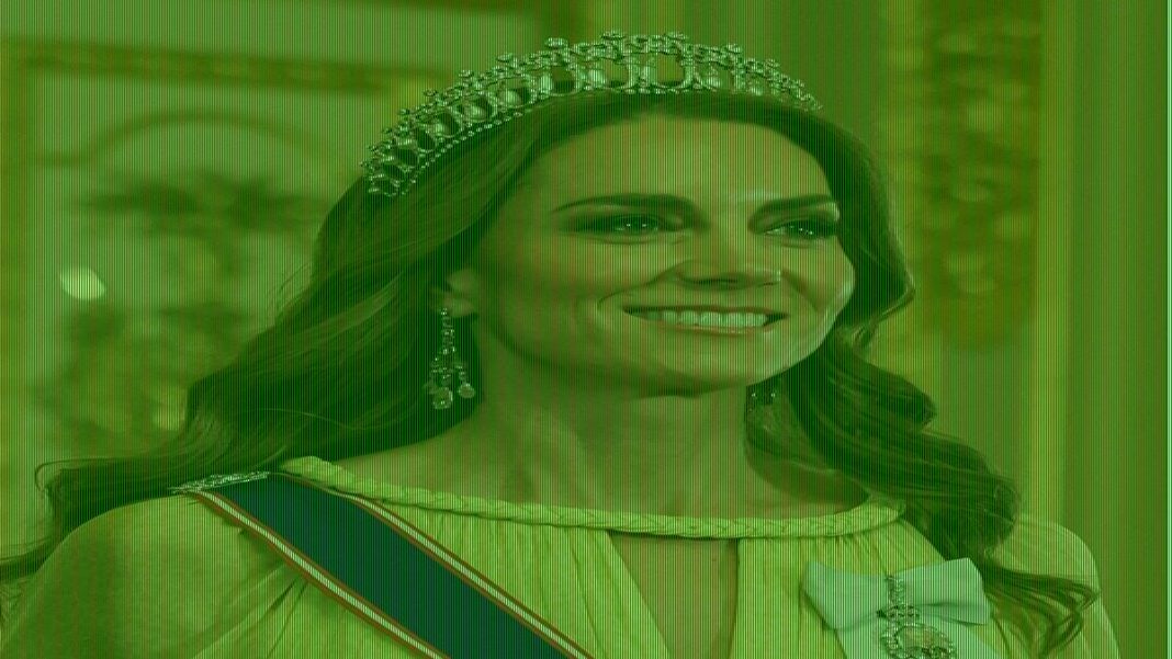 Kate alters Elie Saab dress to make it more modest for state banquet