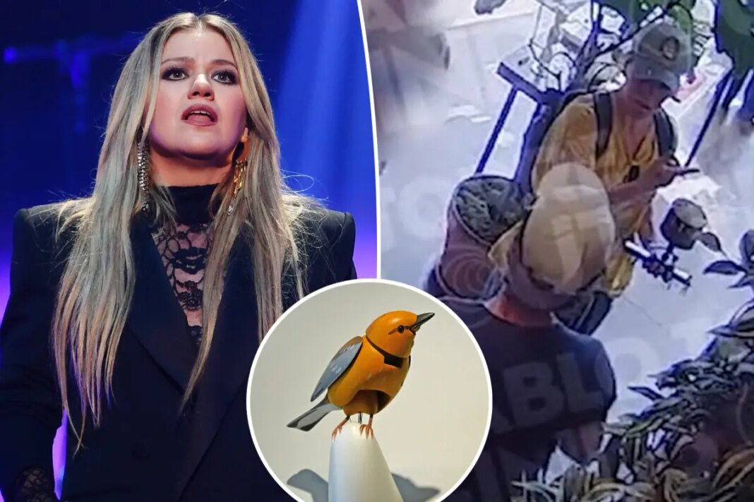 Kelly Clarkson interaction at Brooklyn store where viral dispute over mechanical singing bird occurred seen in security footage