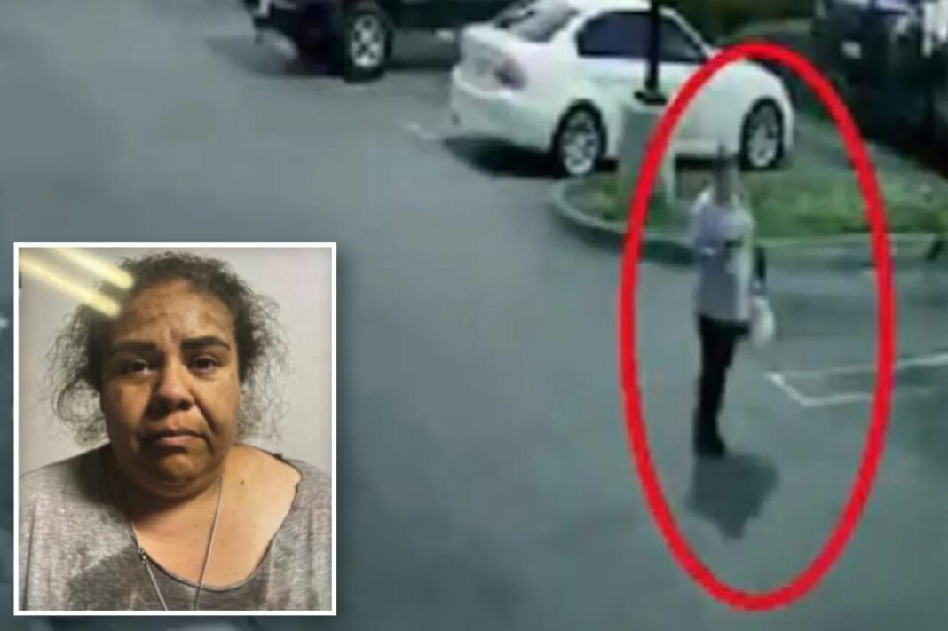 LA woman pleads guilty to staging fake ICE kidnapping hoax