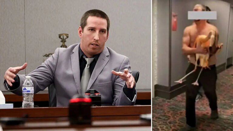 Tourist Accused of Harming Flamingo at Las Vegas Hotel in Video