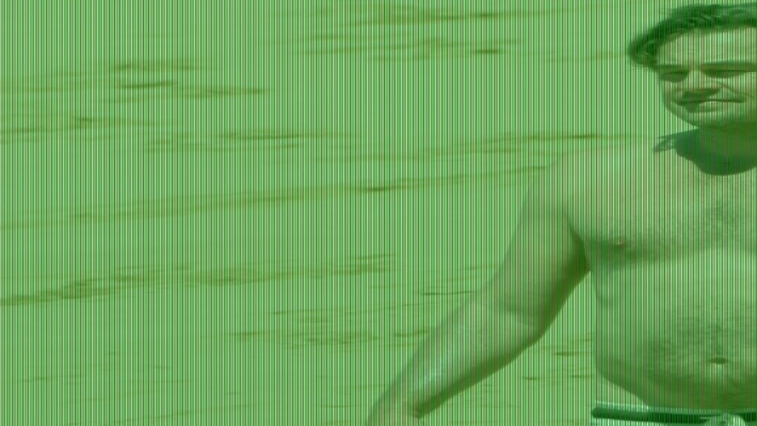 Leonardo DiCaprio is Hollywood's poster boy for dad bods