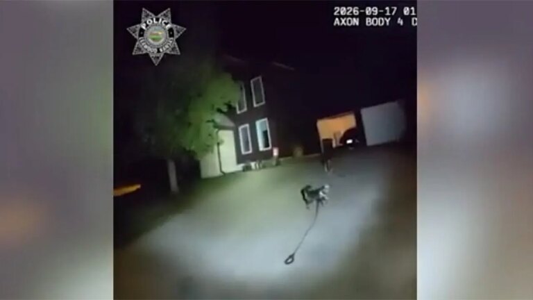 Loyal Dog Fetches Police to Help Owner Who Fell at Kansas Home