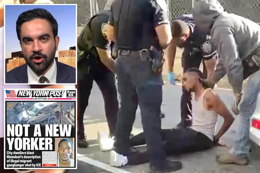 Mamdani threatens to probe ICE after NYC 'illegal migrant' shooting