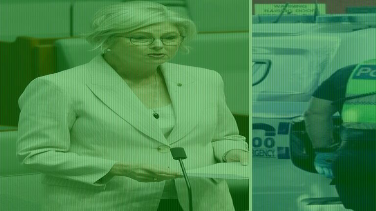 Man Arrested Over Alleged Attack on Australian MP Was Eco Activist
