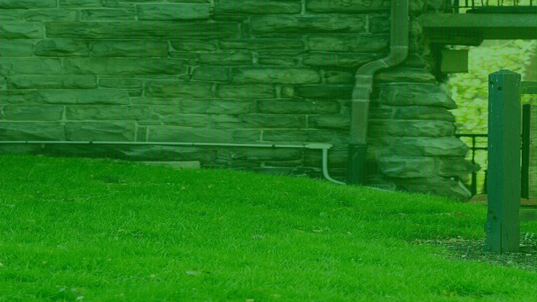 Megyn Kelly suggests Cornell 7 should be renamed Cornell 8