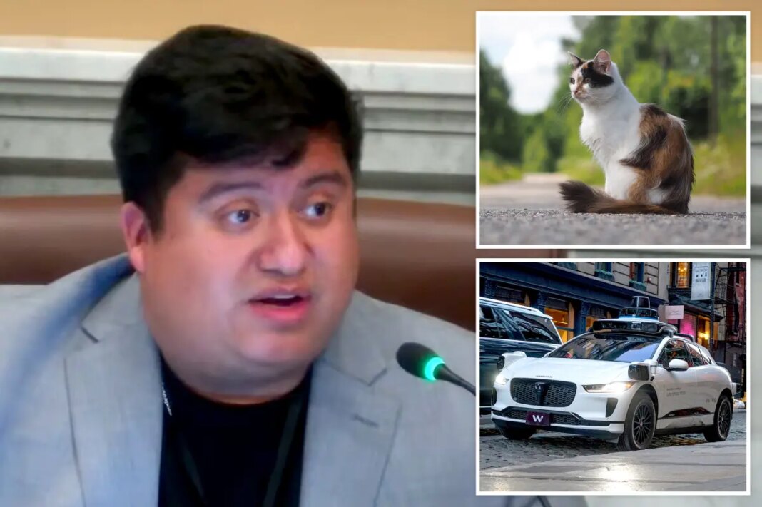 Minneapolis councilman mocked after claiming self-driving cars are 'murdering' pets
