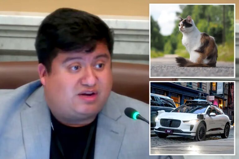 Minneapolis Councilman Mocked After Claiming Self-Driving Cars Are “Murdering” Pets