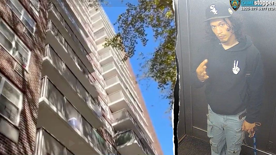 Mom dies shielding baby in horrific 15-story Bronx fall as police hunt suspect: report