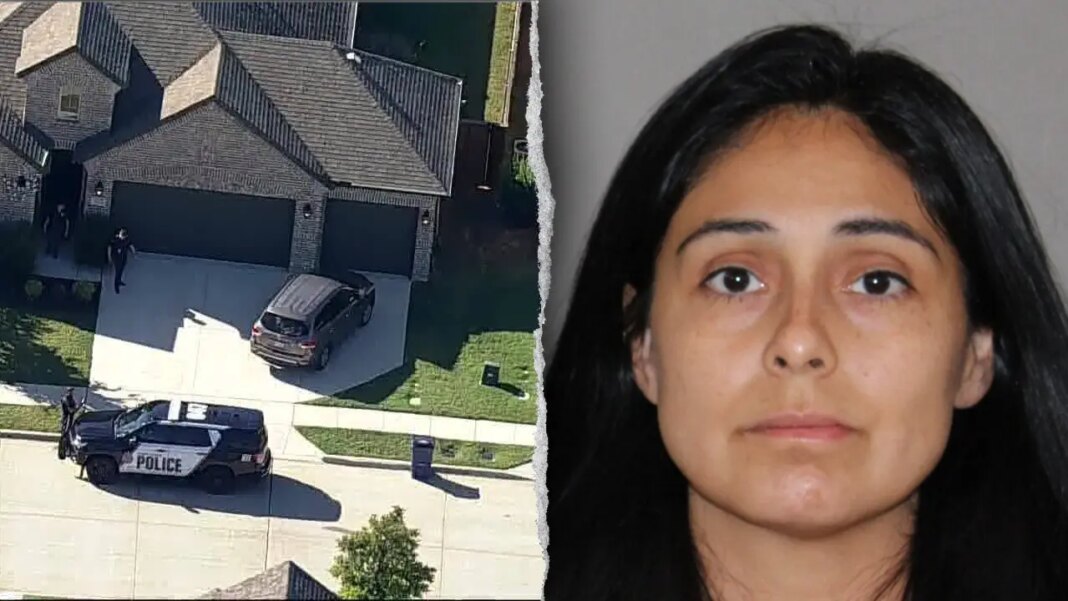 Mom goes on alleged stabbing spree against husband, toddler and 10-month-old baby