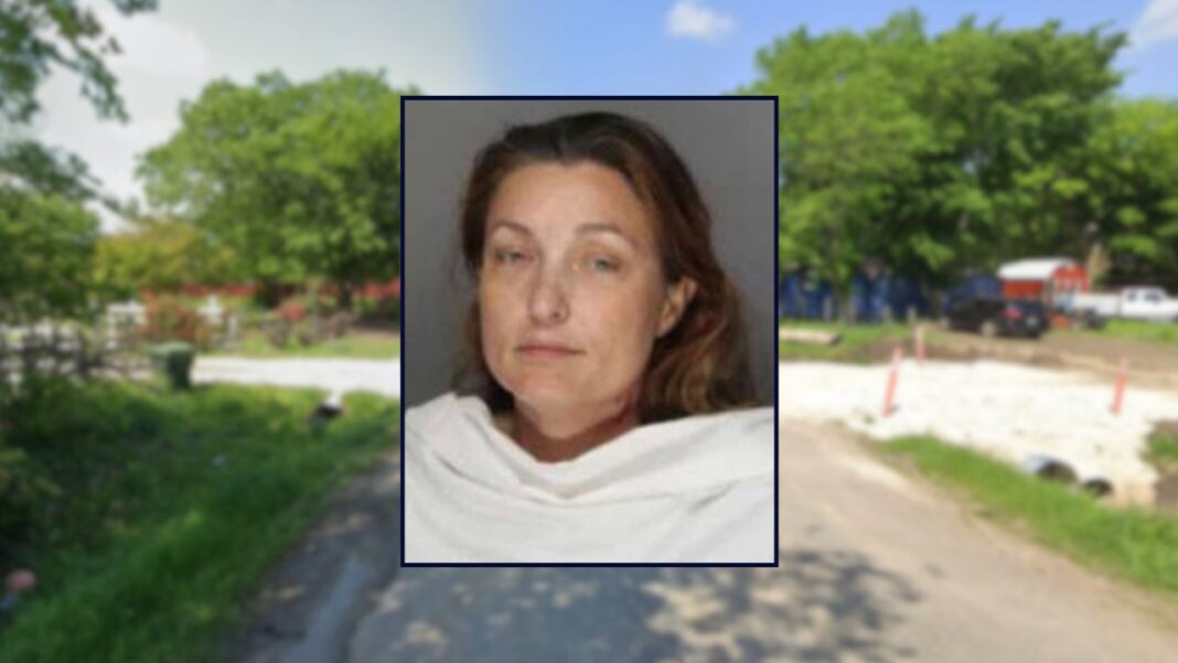 Mom shot and killed sons in middle of the night: Sheriff