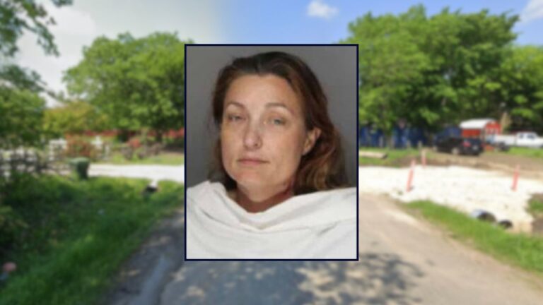 Sheriff: Mother Shot and Killed Her Sons in the Middle of the Night