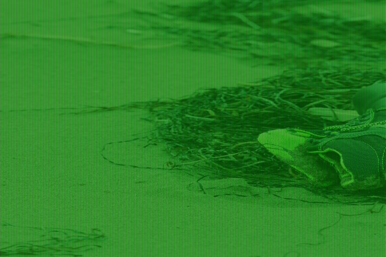 More Than 20 Human Feet Have Washed Ashore in the Pacific Northwest—Here’s What’s Going On