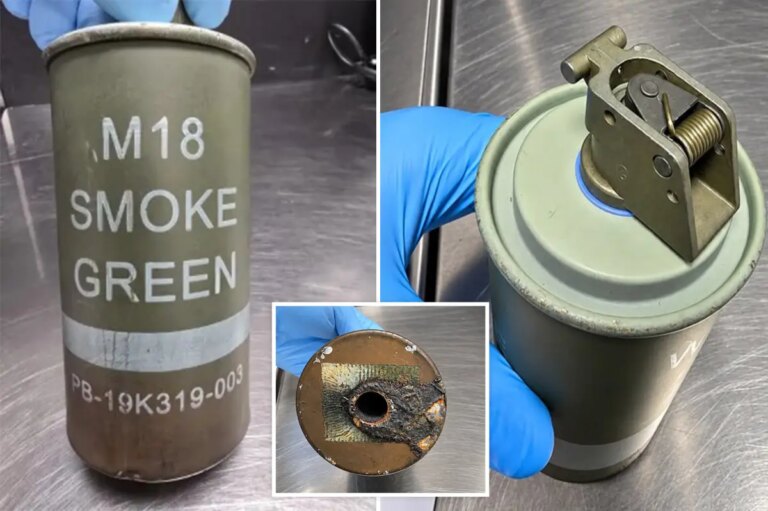 New York Airport X-Ray Detects Illegally Concealed Weapon in Passenger’s Carry-On