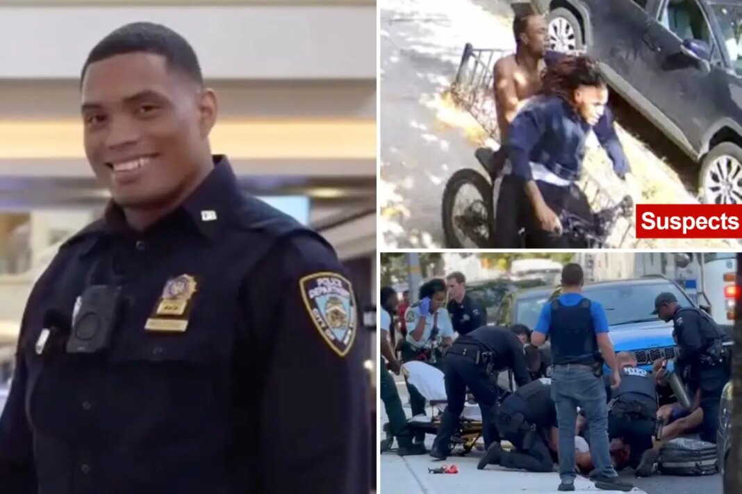 NYC men who stabbed NYPD detective are seen making getaway in new footage