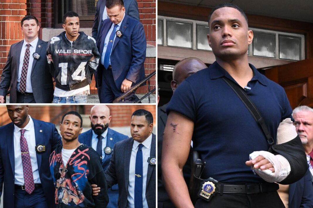 NYPD cop stabbed 10 times by illegal immigrants chased thugs despite his injuries: prosecutors