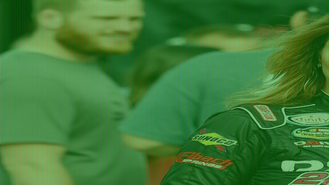 North Carolina's cuckold's paradise exposed by NASCAR love triangle