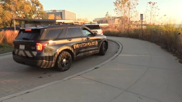 Northwestern University Student Dies After Being Pulled From Lake Michigan in Evanston