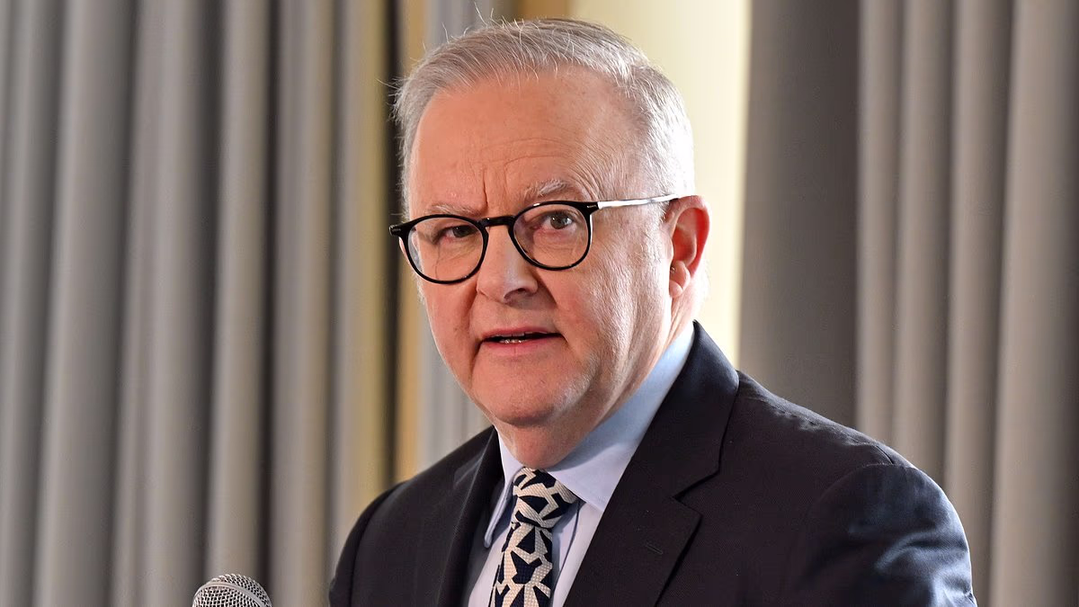 One Nation surges in fresh polling as Albo vote drops to lowest level